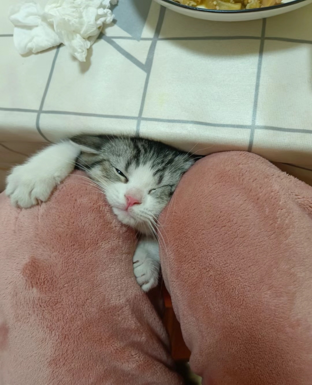 奴才:我一定會堅決阻擋噠奴才:我一定會堅決阻擋噠