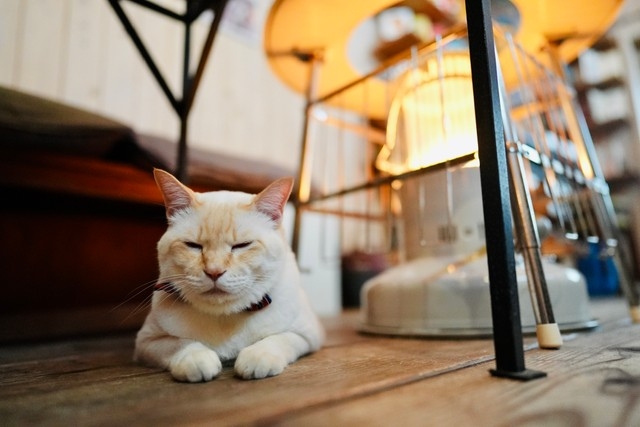 奴才：還真的給你說中了~