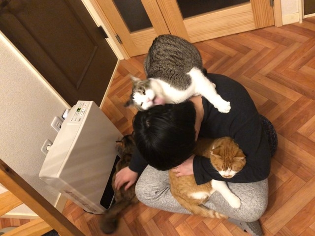 奴才：這就是你的目的吧