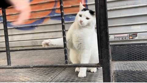 員工：好啦~你最棒了