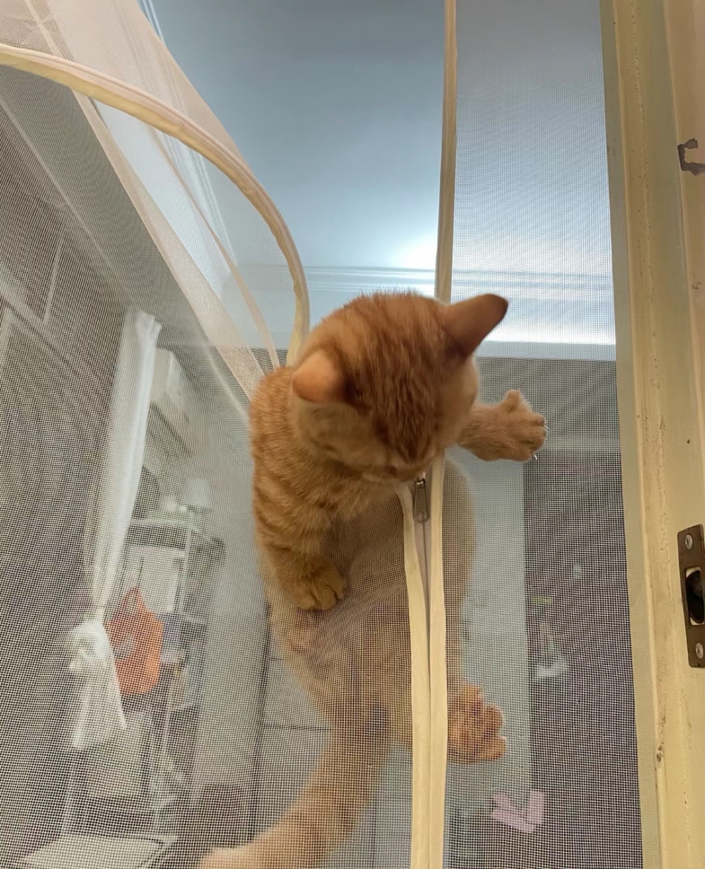 奴才:誰叫你越獄啊!