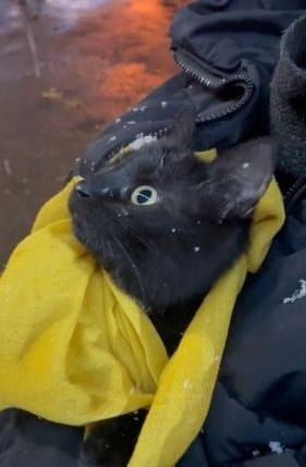 奴才：第一次體驗是不是很新奇