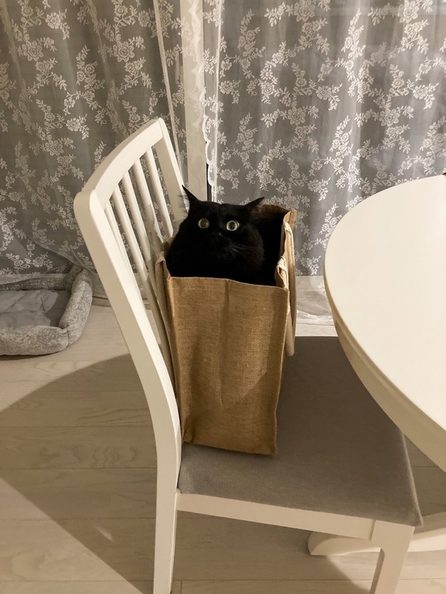 奴才：哎呀~讓你得逞了