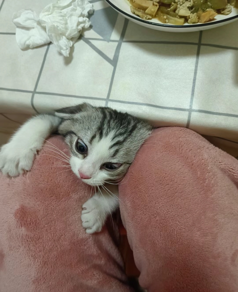 奴才:我太了解你了,看了你一定會想吃的