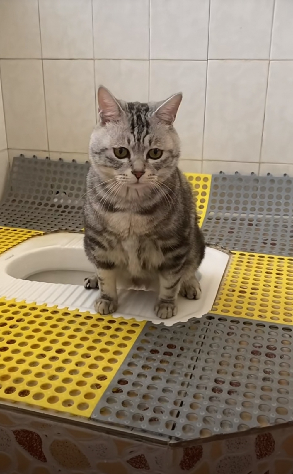 奴才：已經鍛煉很久掉下去就丟臉囉~