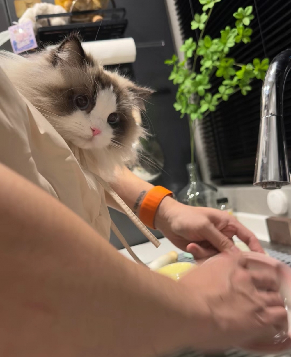 奴才媽媽：哼！你別太得意