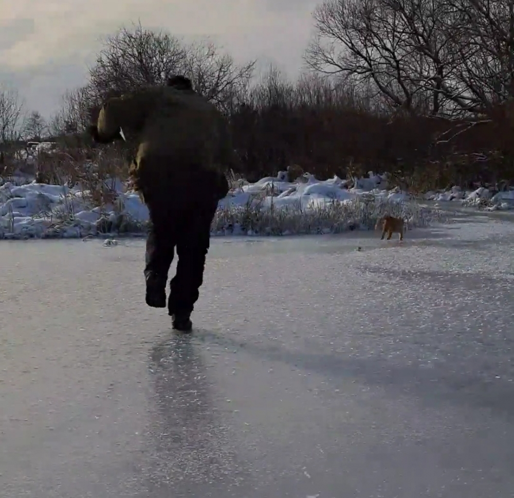 漁夫：魚竿要還我啦