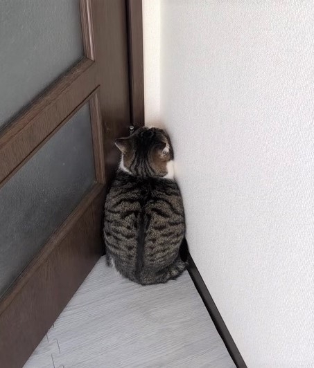 奴才：換個新環境不好嗎？