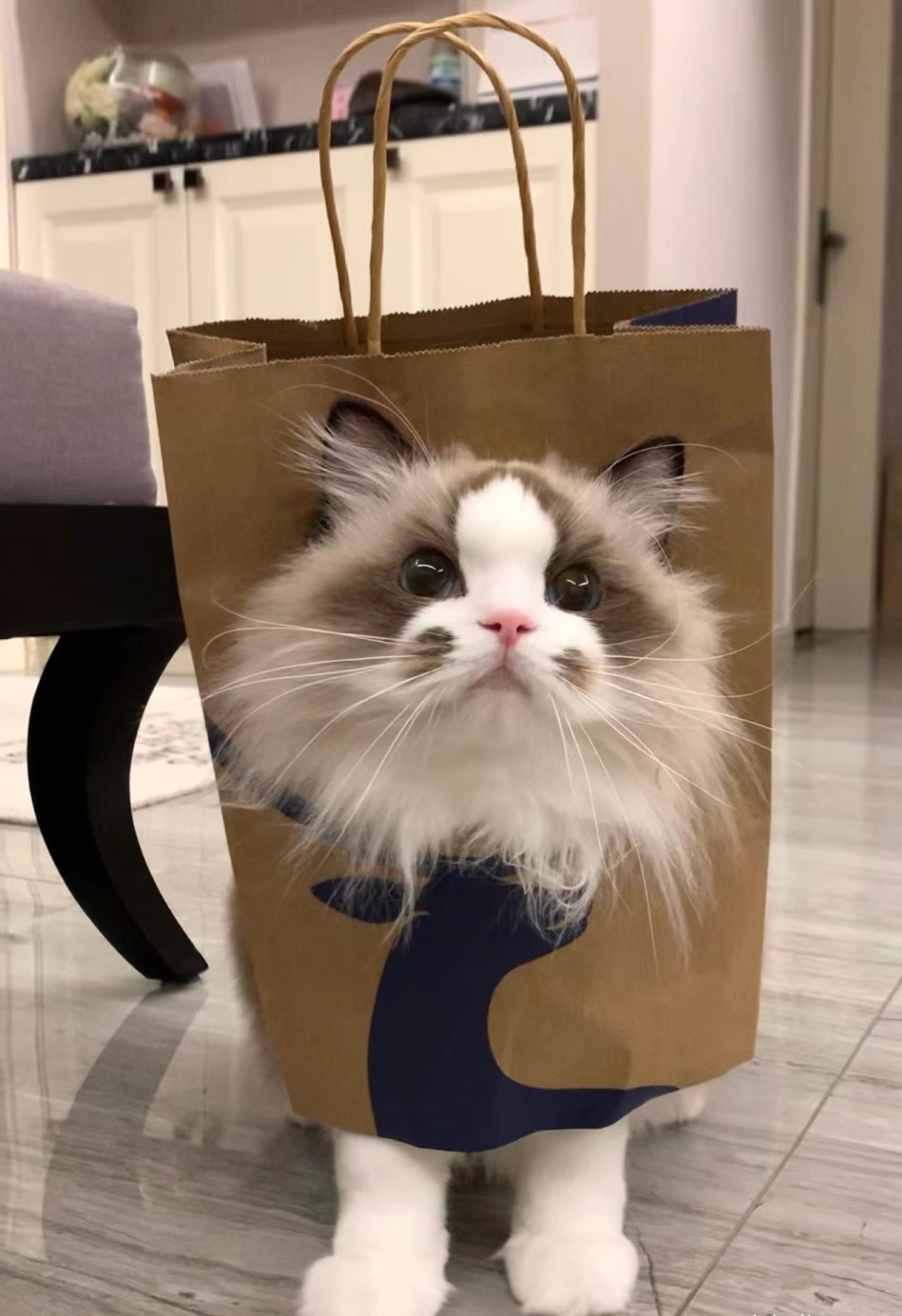 奴才：這麼一說動力滿滿啦~