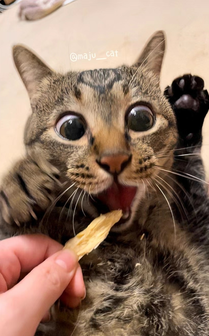 奴才：貪吃鬼說的就是你吧