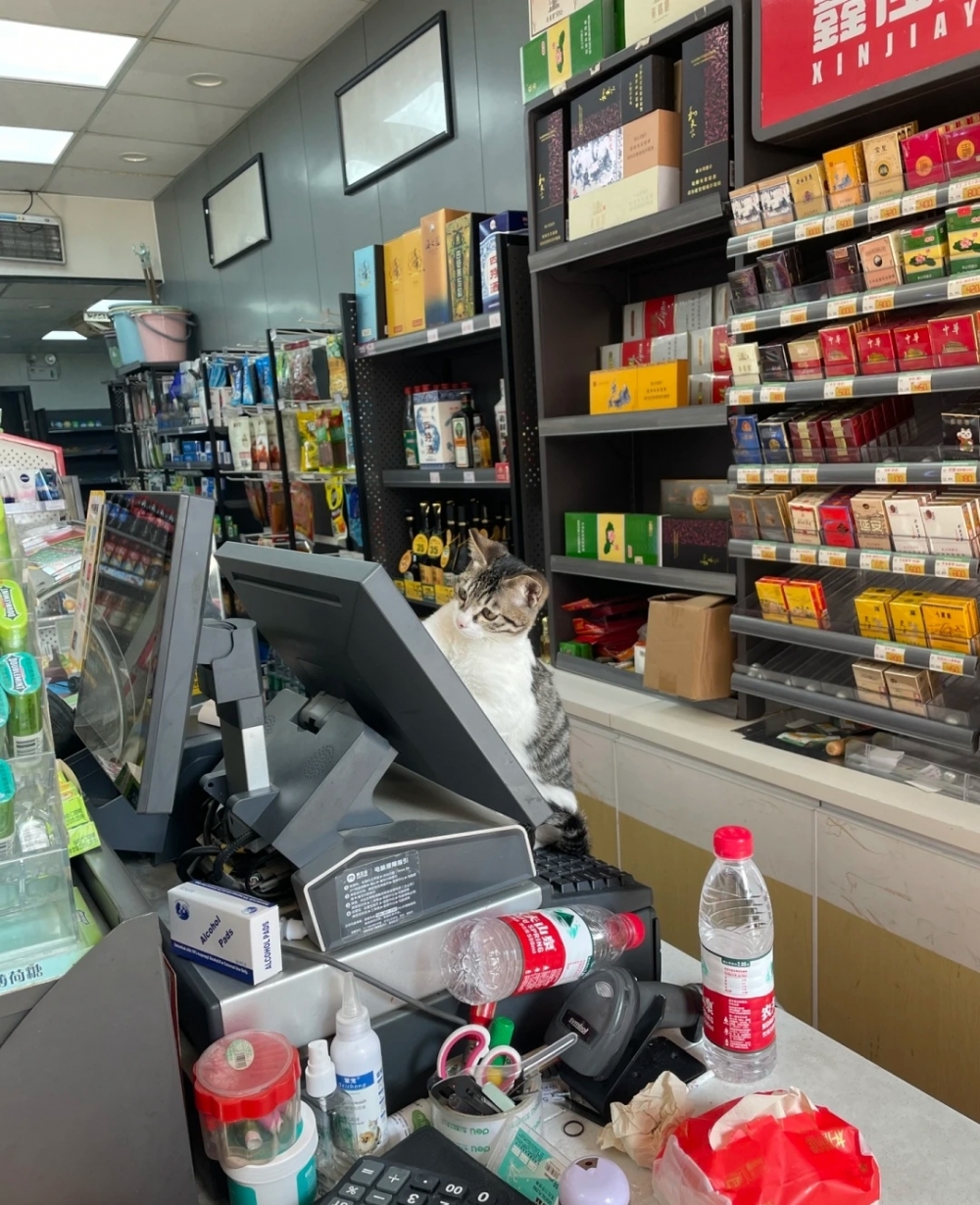 奴才:你說的也沒錯啦