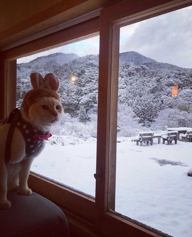 奴才：忙完就帶你出去走走吧~