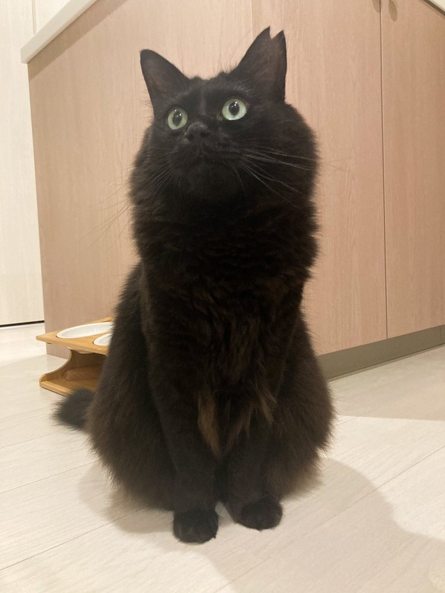 奴才：沒什麼好生氣的啊