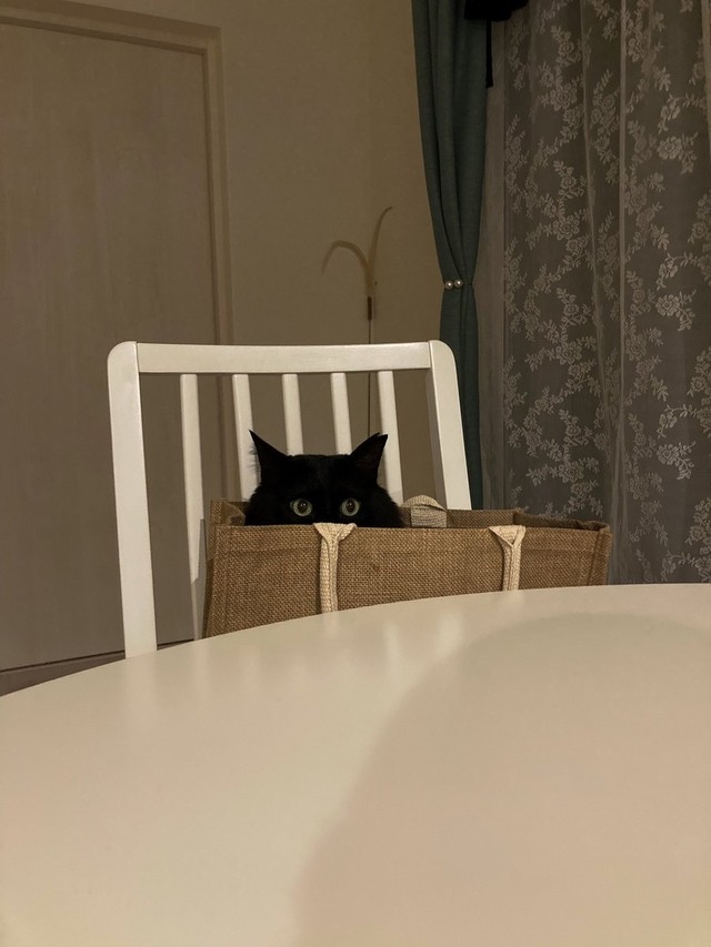 奴才：那就讓你再玩一下下吧