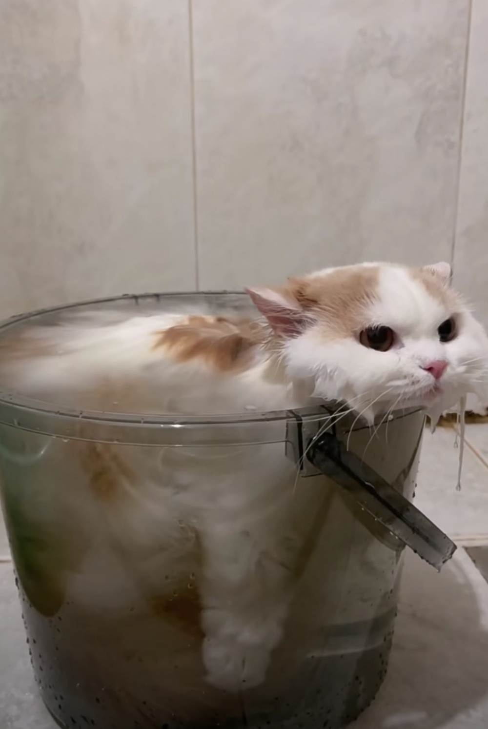 奴才：將就一下啦