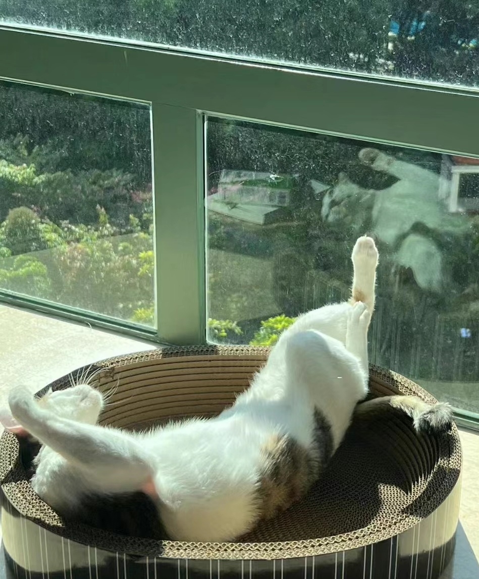 奴才：好的，有什麼儘管吩咐奴才喔~