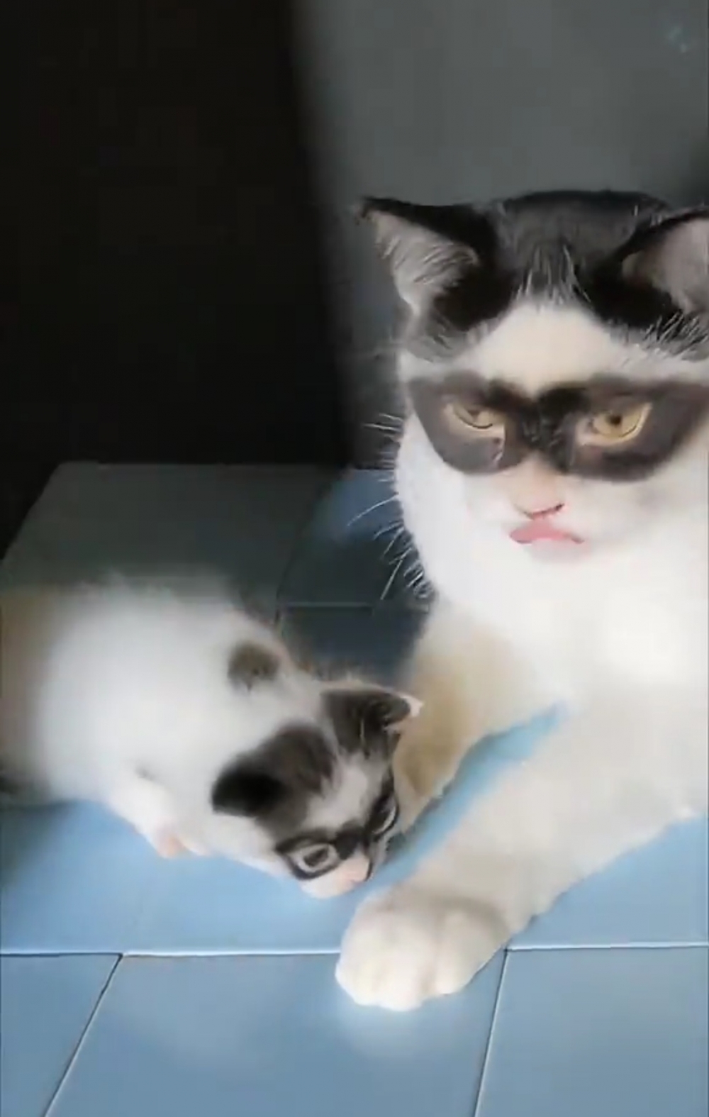 奴才：疼愛都來不及了啦~