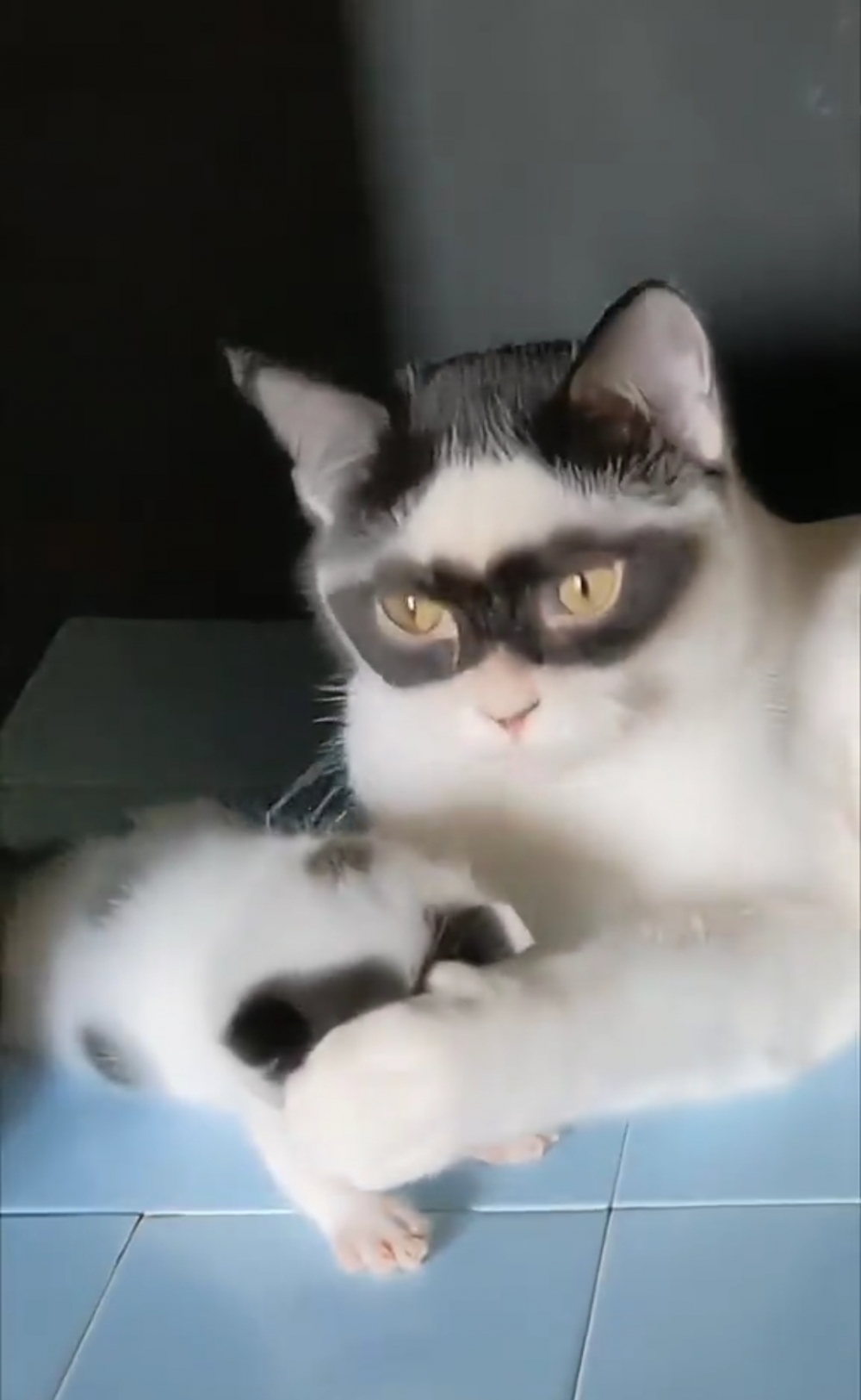 奴才：到時候就是真的超級英雄了