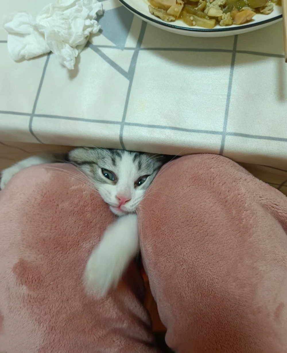 奴才:這些你都不能吃啦