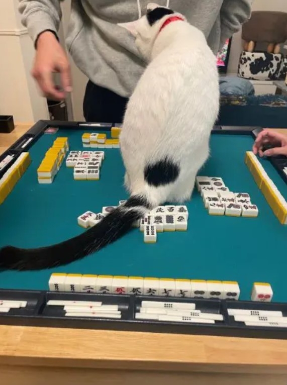 奴才：玩完這一場就抱你啊！