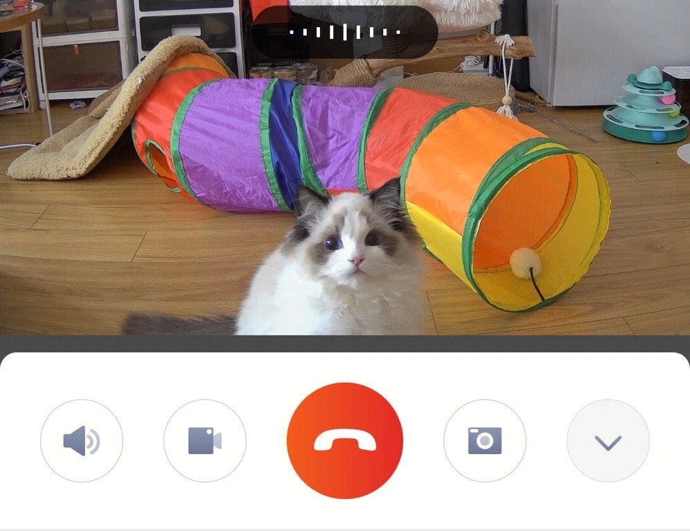 奴才：我在鏡頭裡面啊~