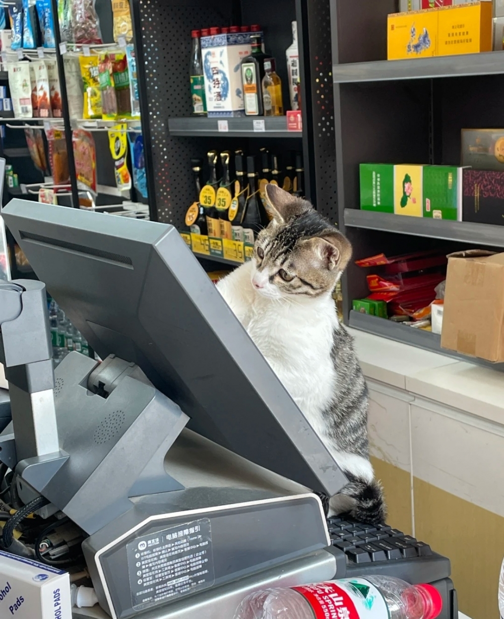 奴才:多塊了有你的幫忙喔~