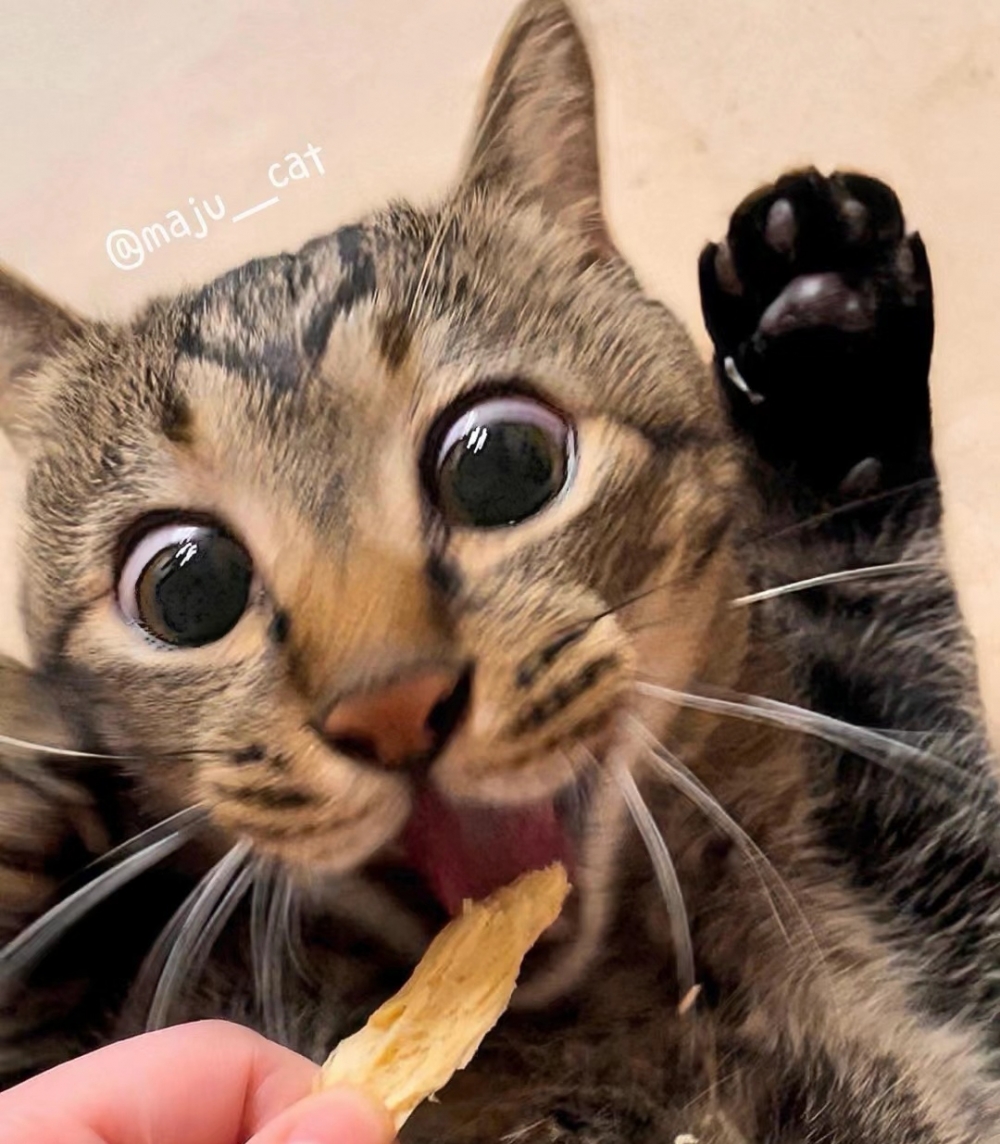 奴才：你別心急呀