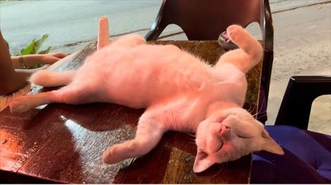 顧客：不省人事的樣子真的很像喝醉了