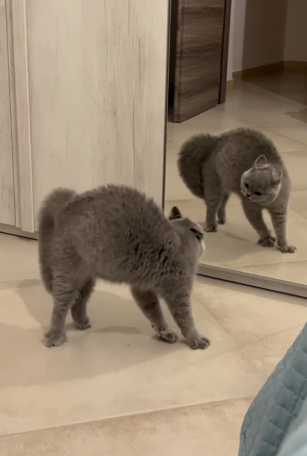 奴才：哇！自己都不認識自己嗎？