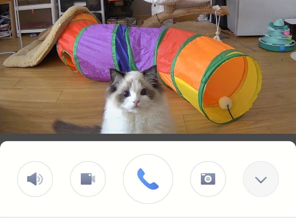 奴才：你在家有沒有乖乖的