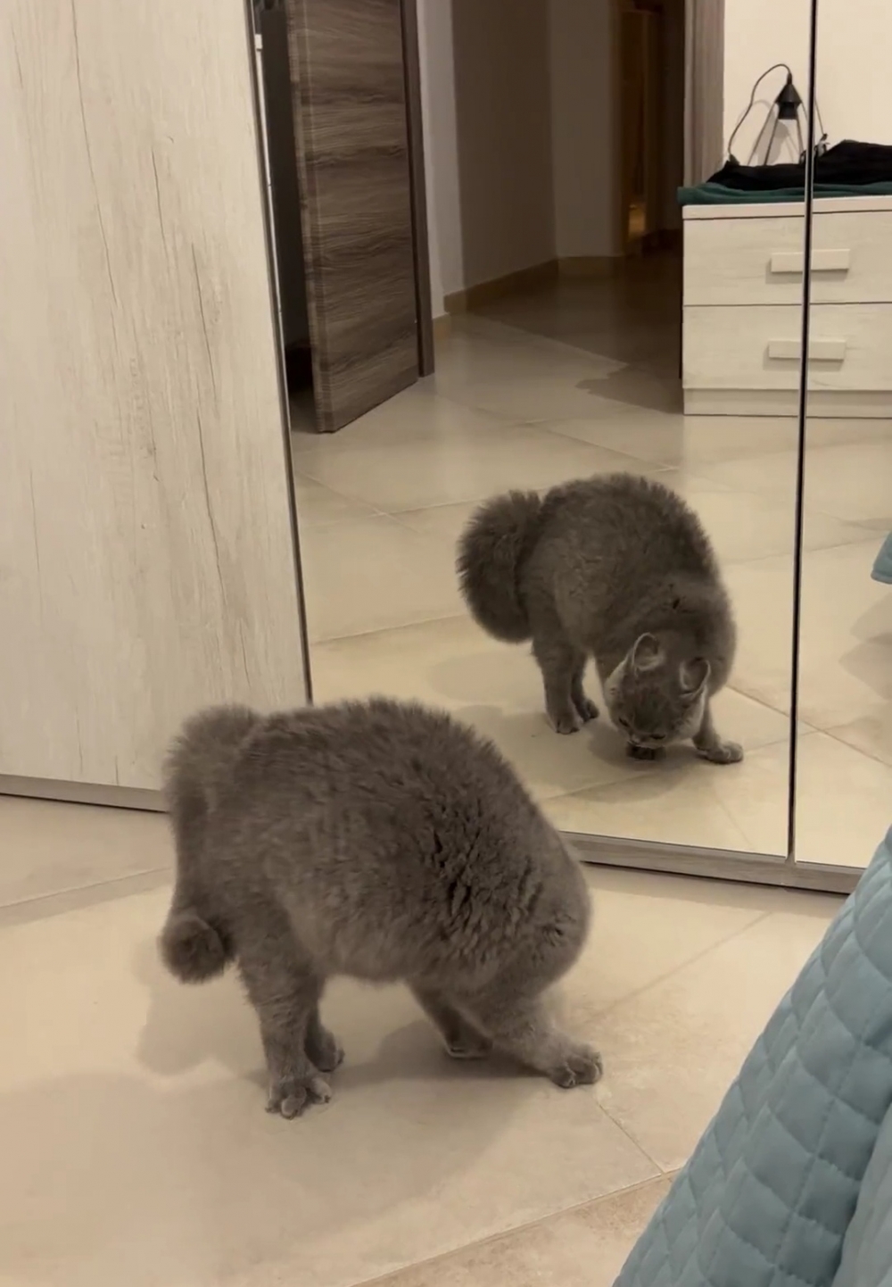 奴才：誒誒~別誣陷啊！