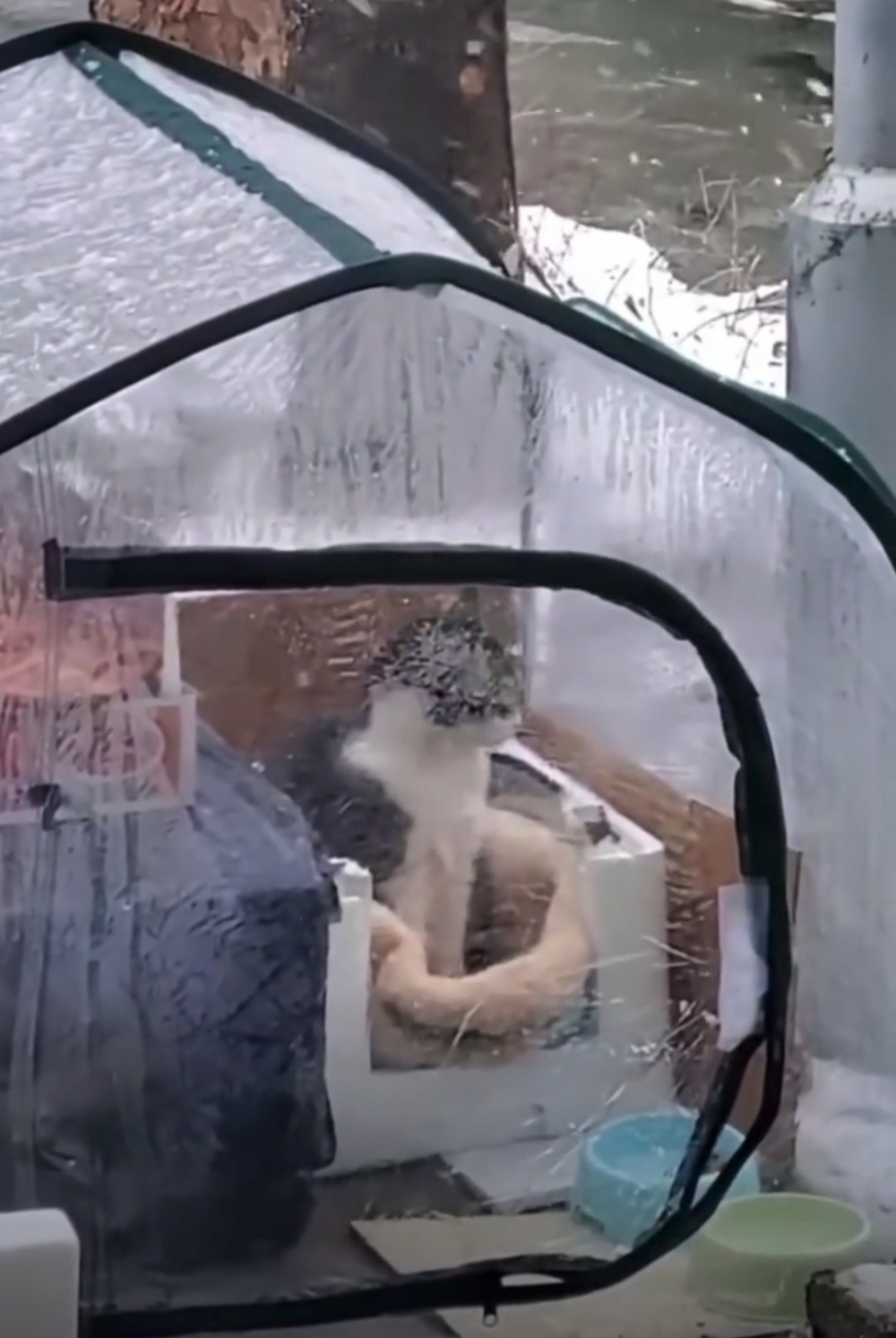 喵：終於有人記掛了~