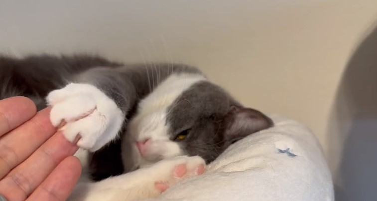 奴才：你也太暖心了吧~