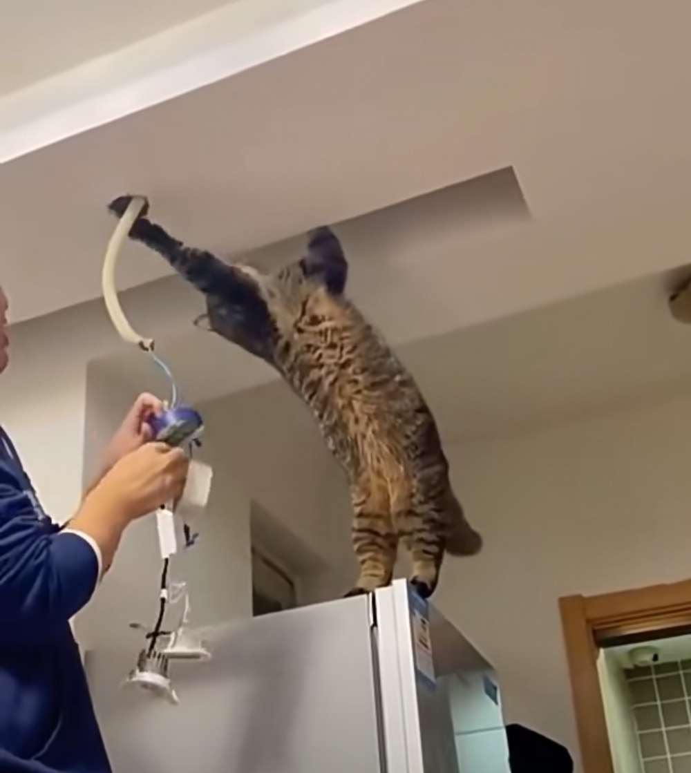 奴才：你最好是看得出問題啊~