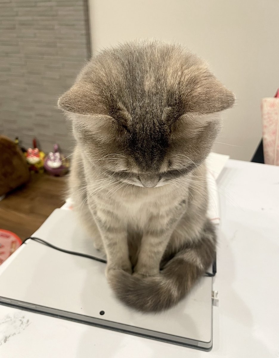 奴才：好呀！你想怎麼驗證