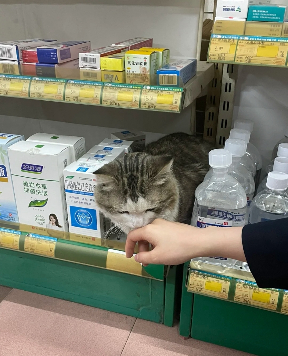 奴才：那我只能再掛號一次了