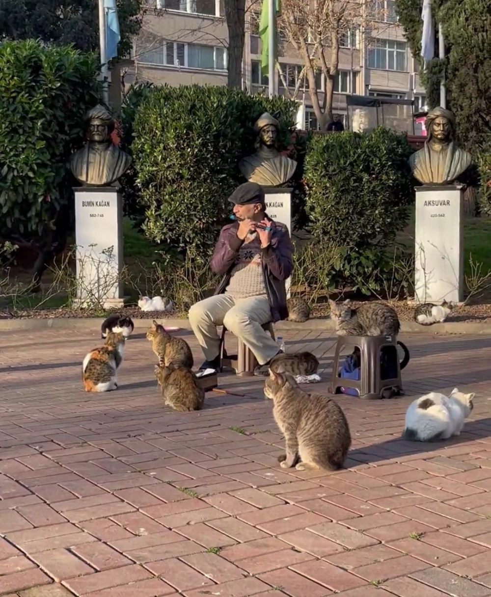 音樂家：開始演奏囉