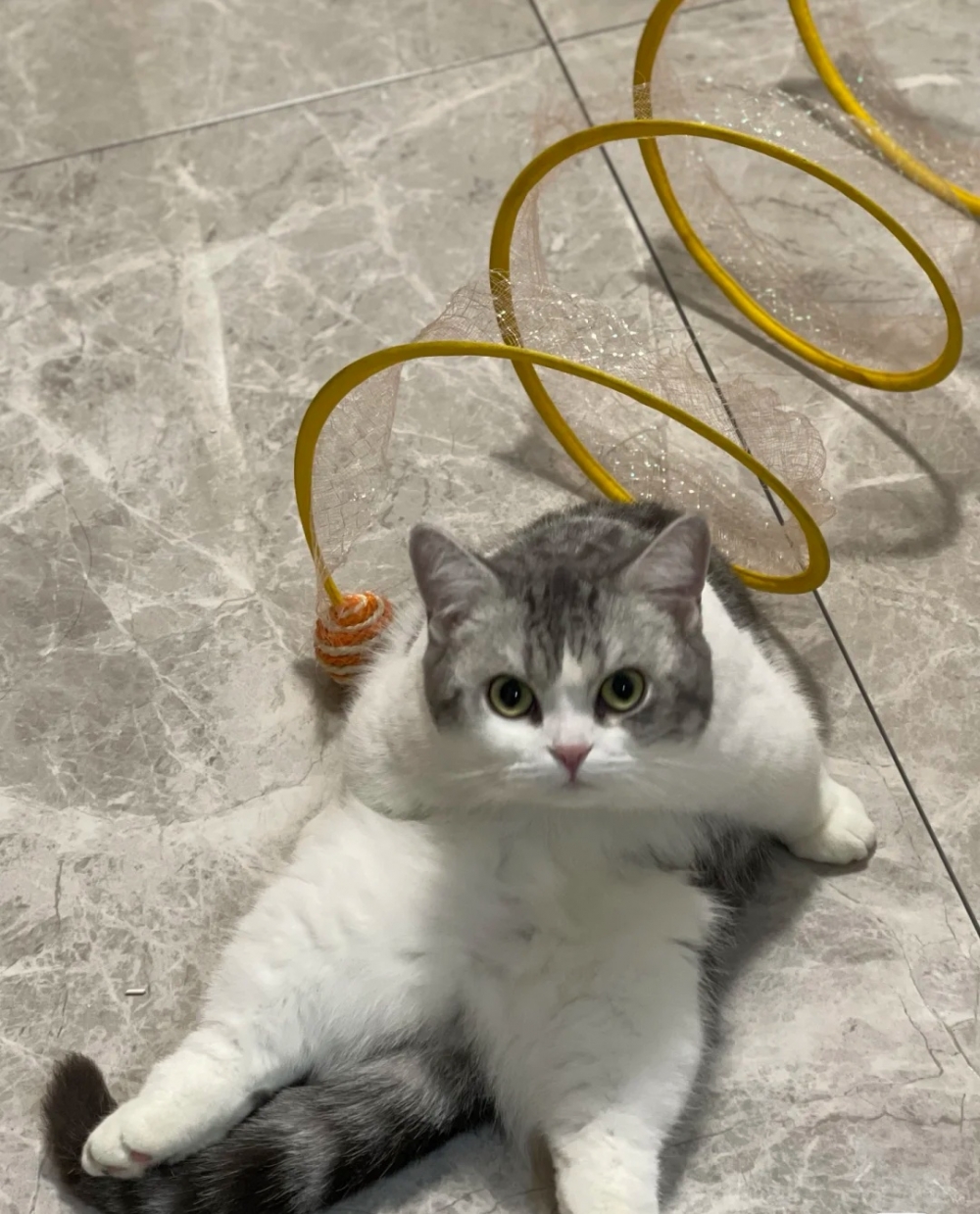 奴才：你這個坐姿哪裡學的啊！