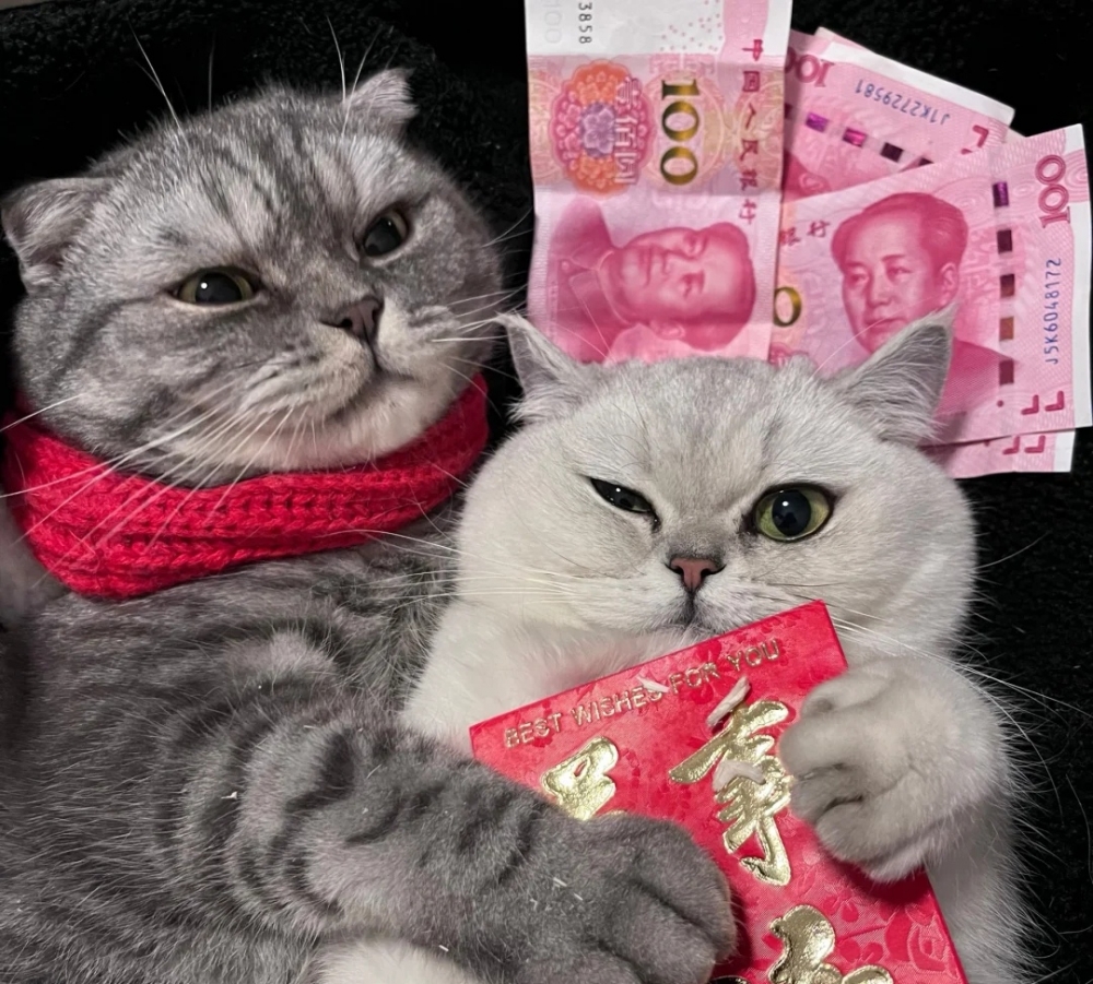 奴才：還是你會啊