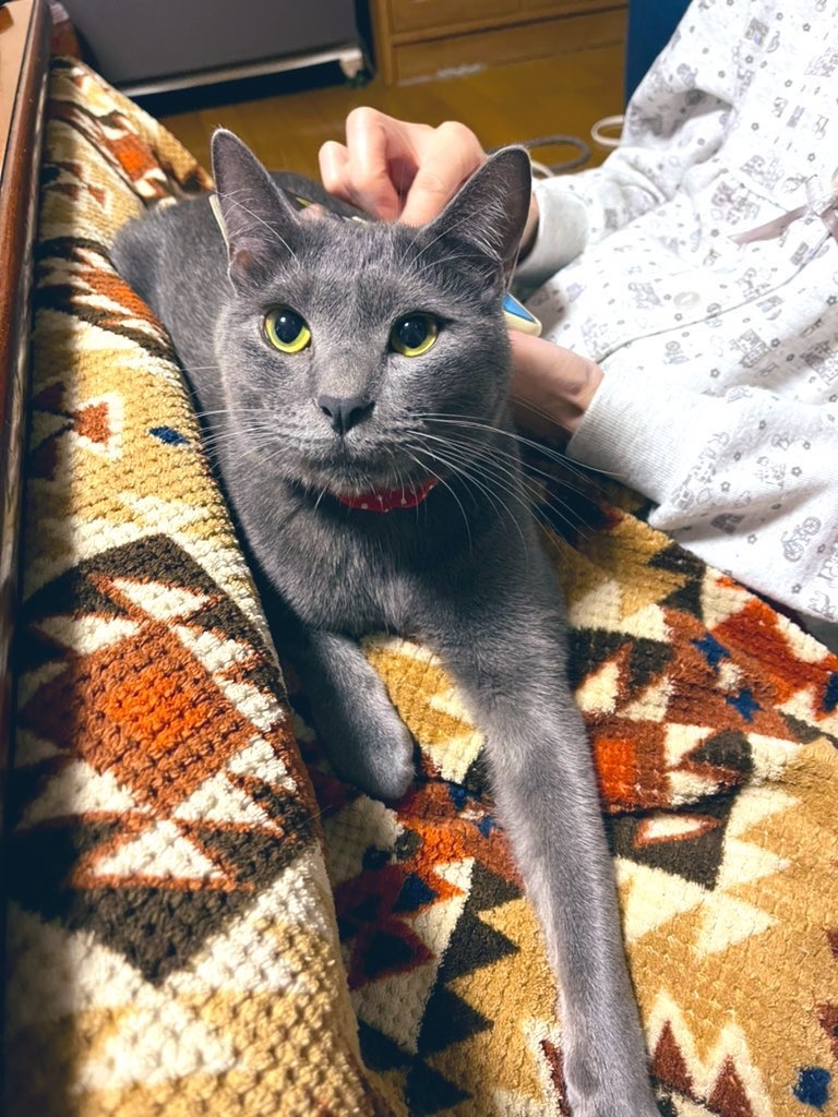 奴才：證明我們家的成員都有很高的藝術細胞