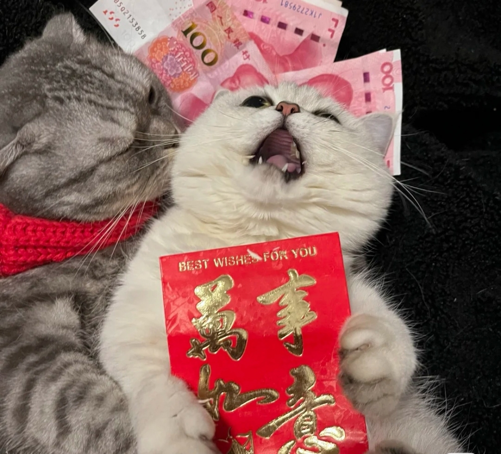 奴才：倒也是沒錯