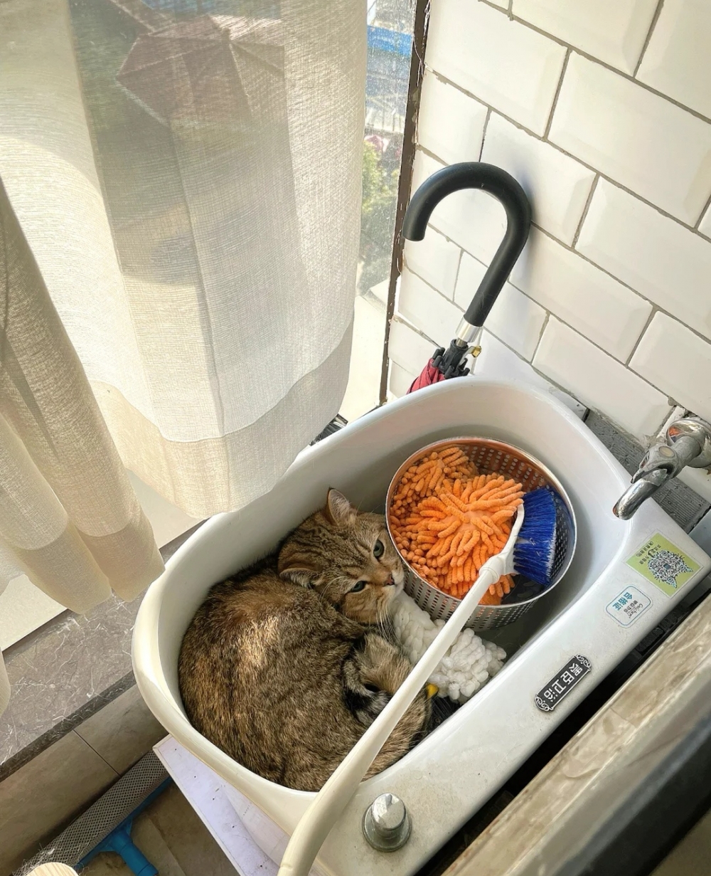 奴才：有那麼恐怖嗎？