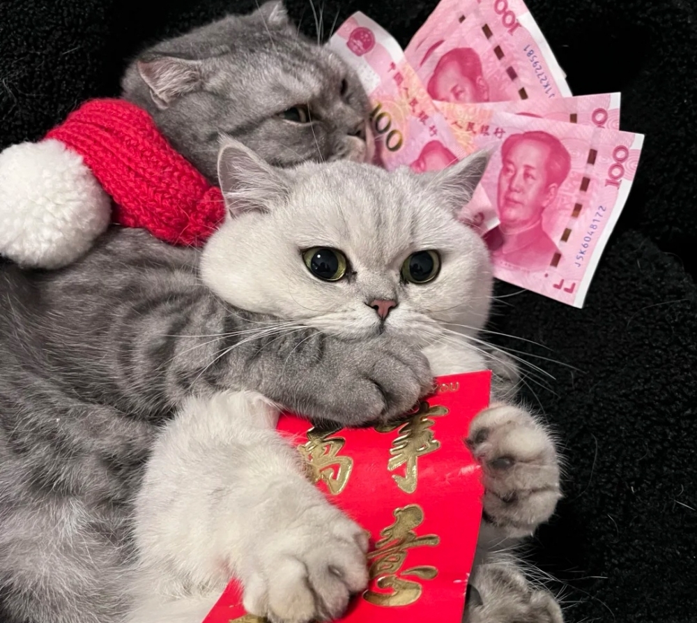 奴才：哇塞！你也太慷慨了吧