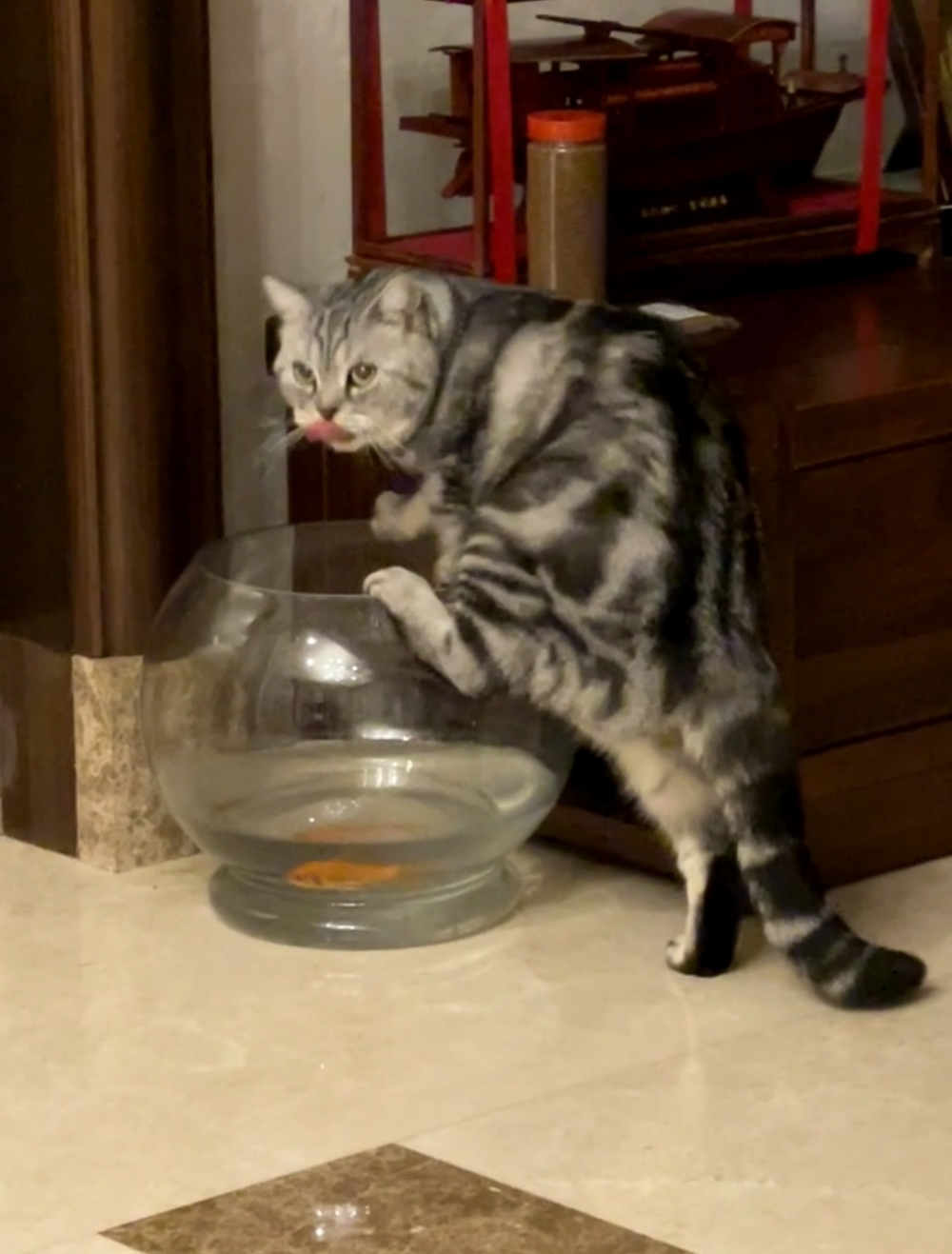 奴才:你這麼感覺有點不懷好意啊