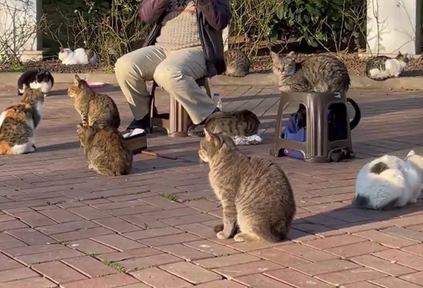 音樂家：我也一樣很開心