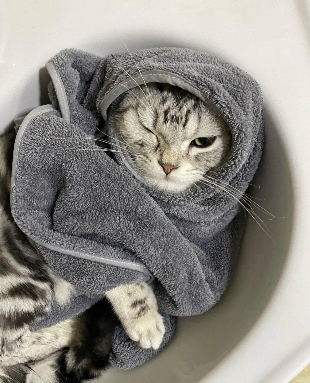 奴才:你真當自己是大爺啊