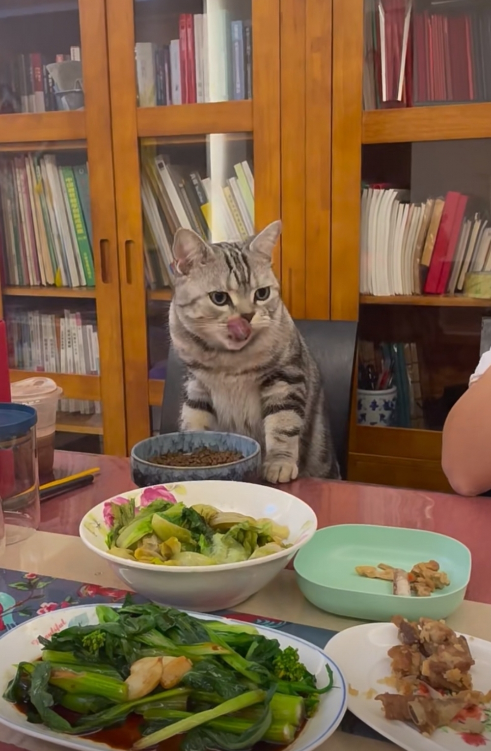 奴才：家常便菜囉