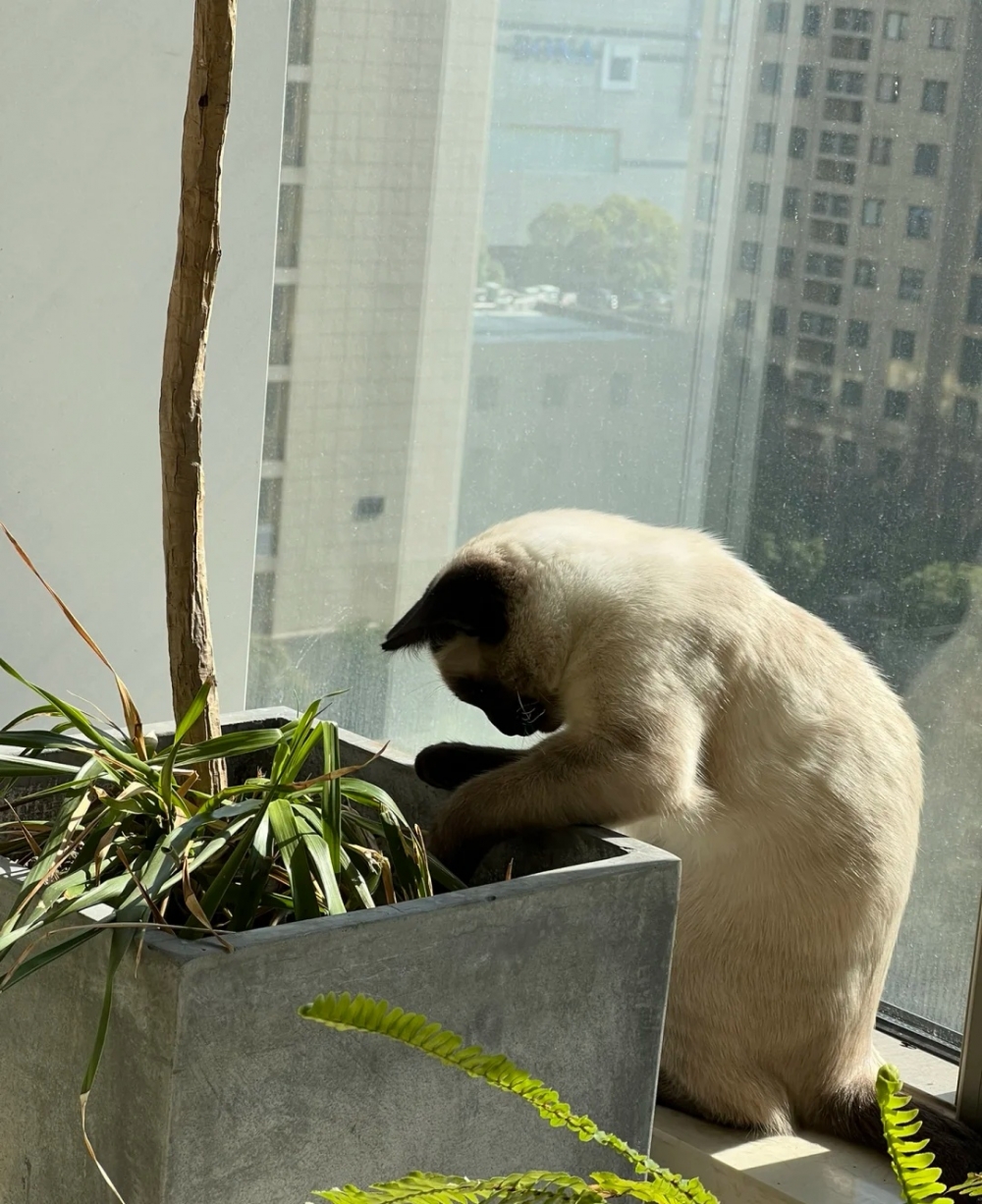奴才：好喔～你仔細檢查一下吧