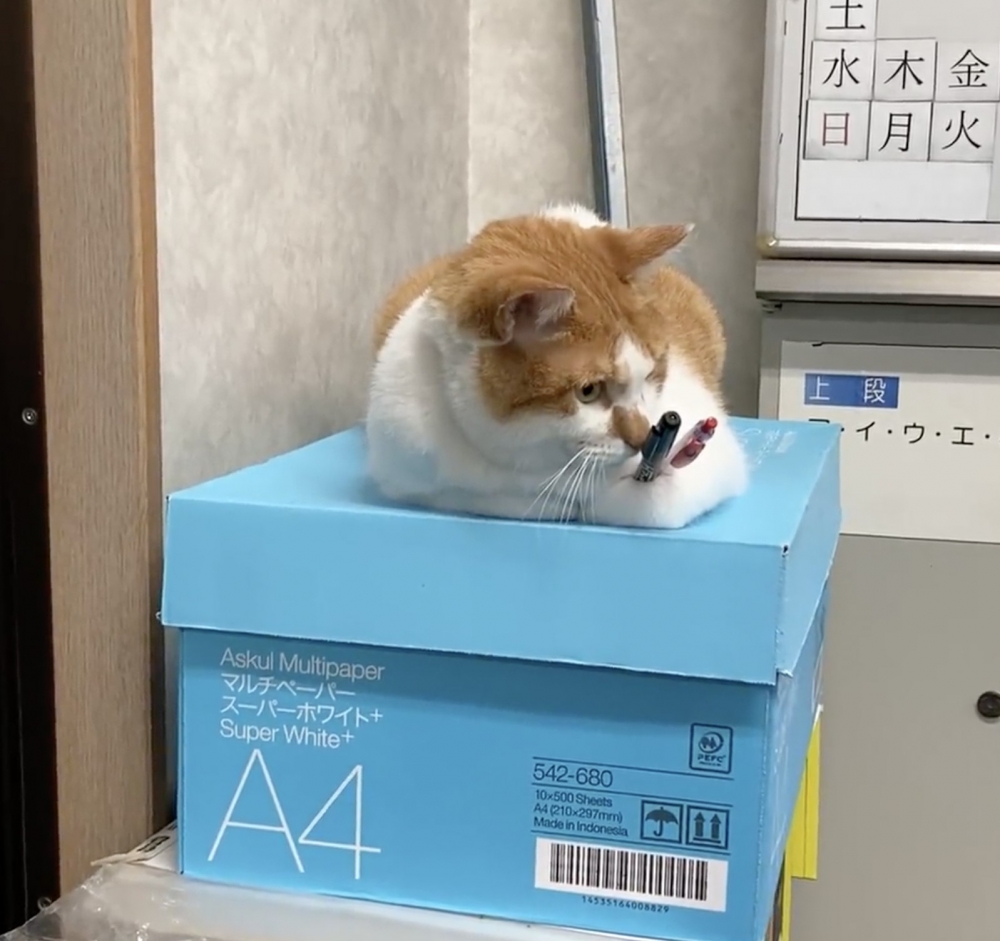 奴才：再一下下我就下班啦