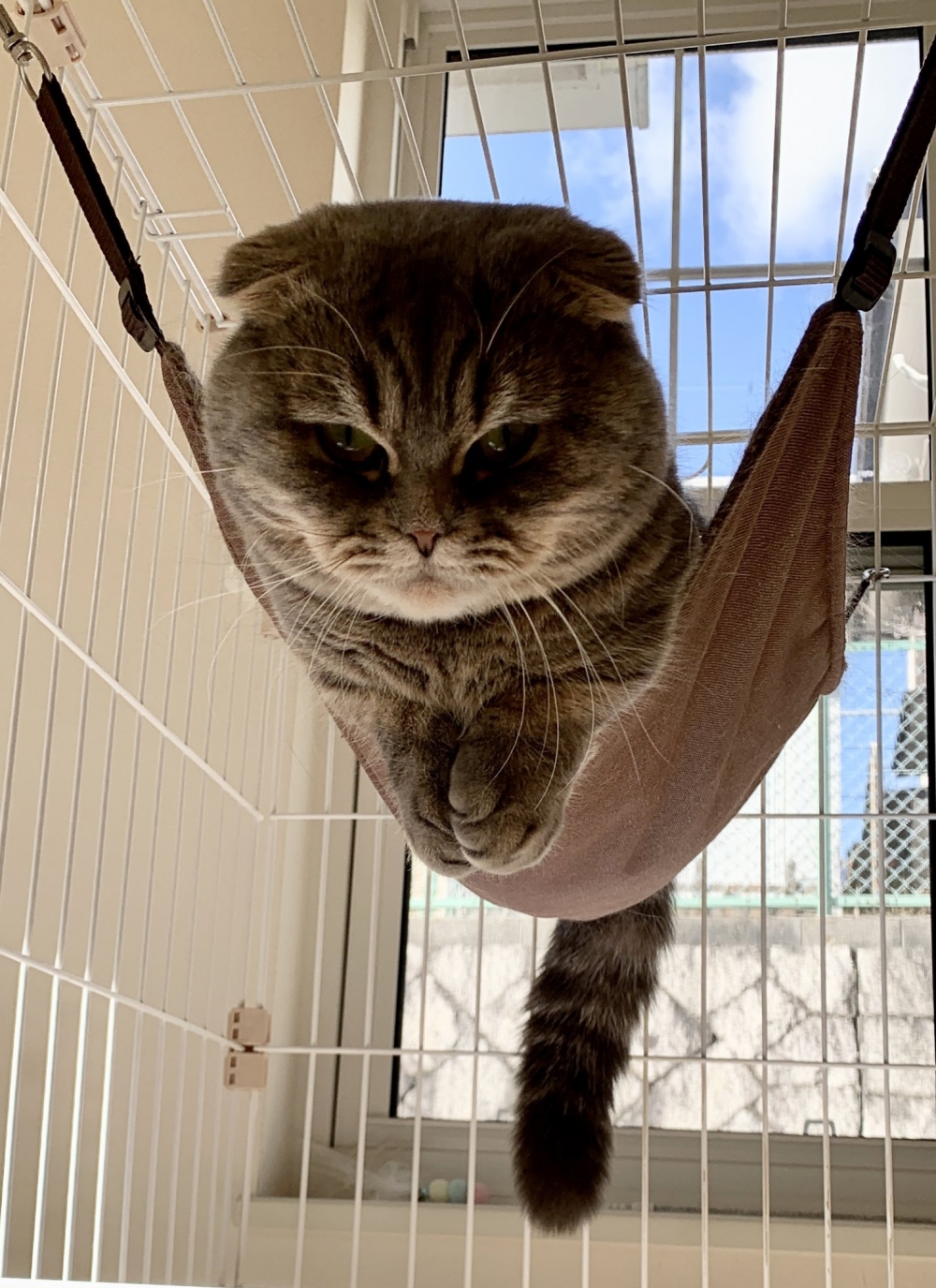 奴才：額～別那麼嚴肅嘛